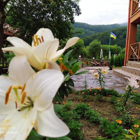Bilovoddya Hotel Sil Esterno foto