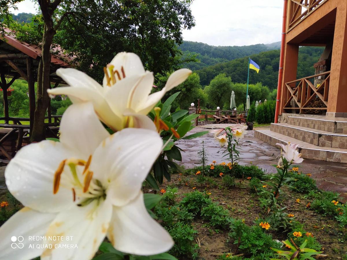 Bilovoddya Hotel Sil Esterno foto